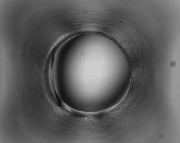 X0000098170112200804241205