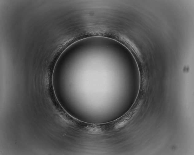 X0000098170113200804241205