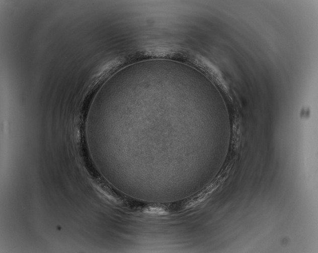 X0000098170114200804241205