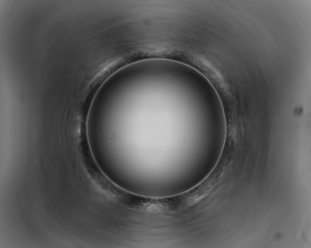 X0000098170115200804241205