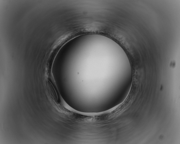 X0000098170116200804241205