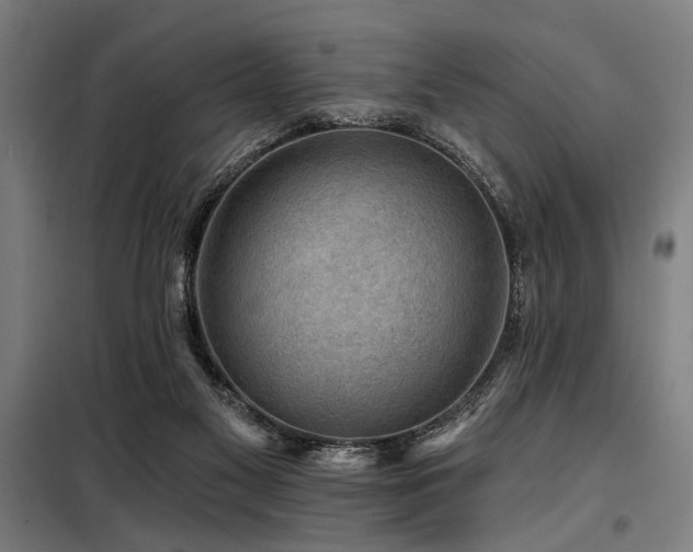 X0000098170117200804241205