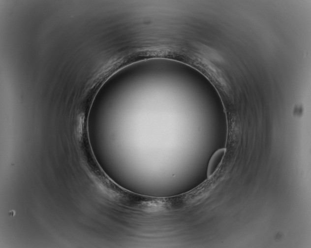 X0000098170118200804241204