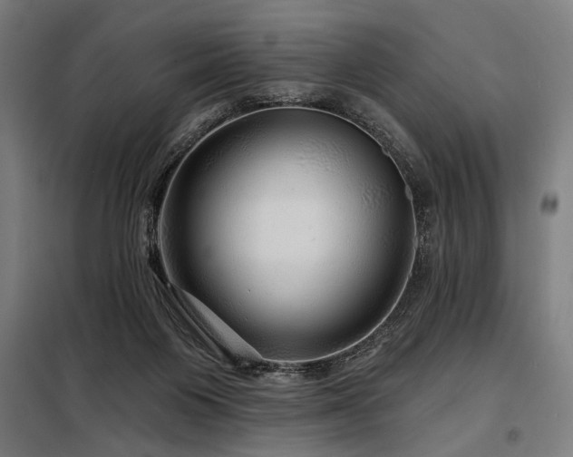 X0000098170119200804241204