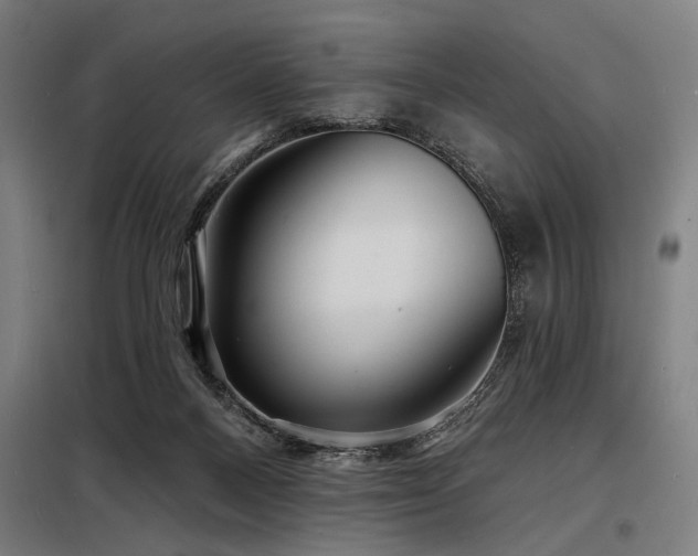 X0000098170120200804241204