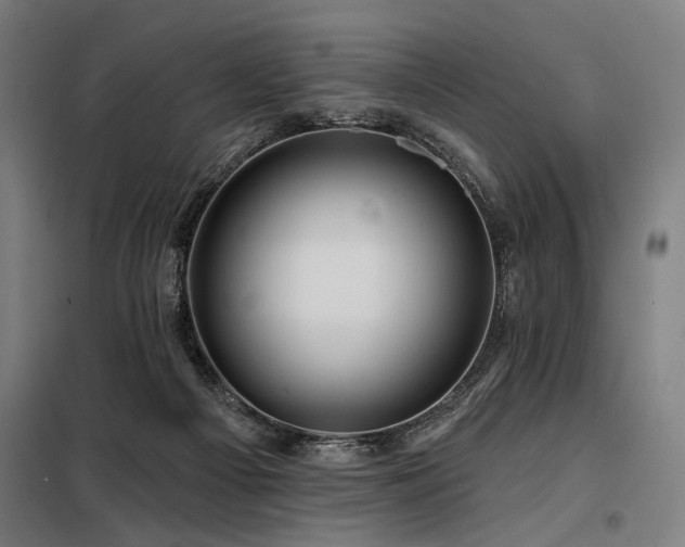 X0000098170121200804241204