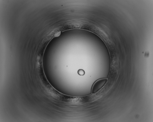 X0000098170122200804241204