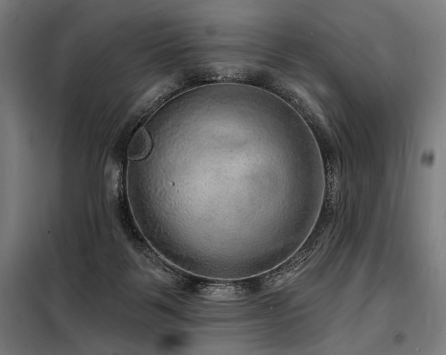 X0000098170123200804241204