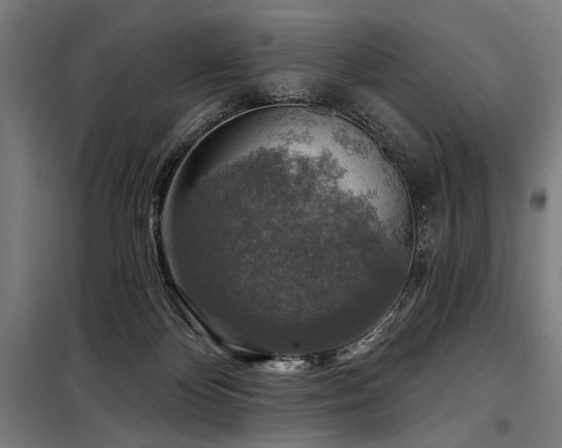 X0000098170124200804241204