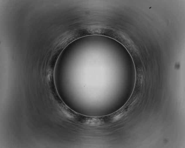 X0000098170125200804241204