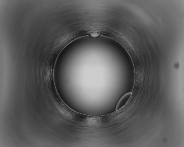 X0000098170126200804241204