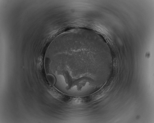 X0000098170127200804241204