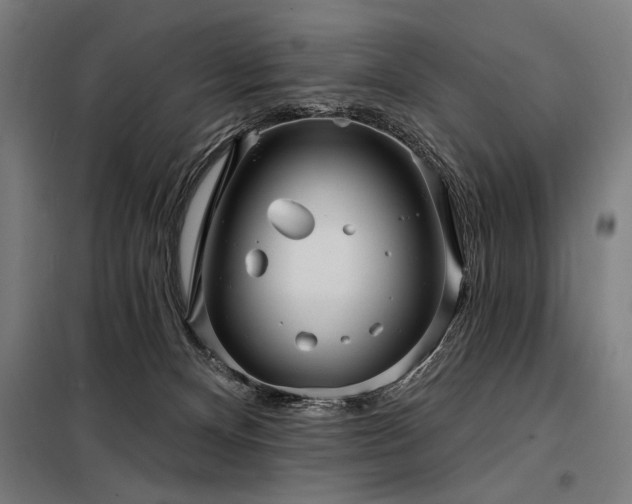 X0000098170128200804241204