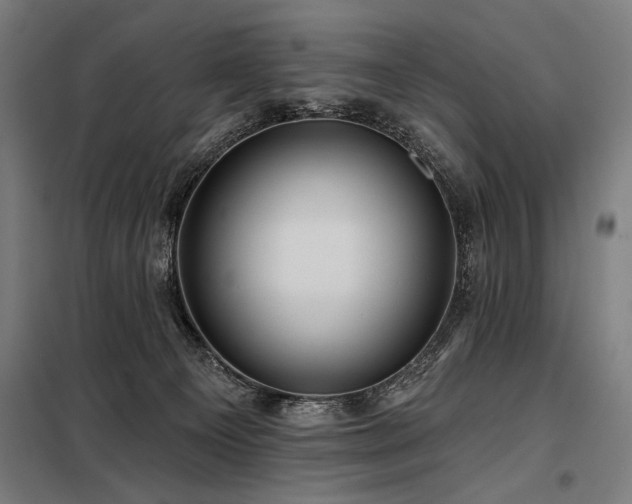 X0000098170129200804241204