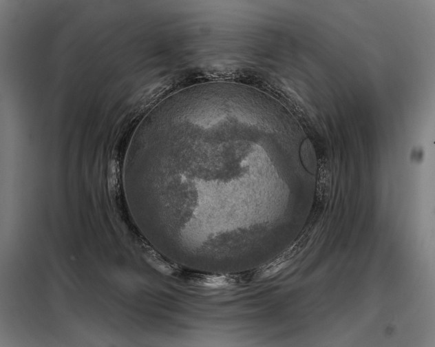 X0000098170130200804241204