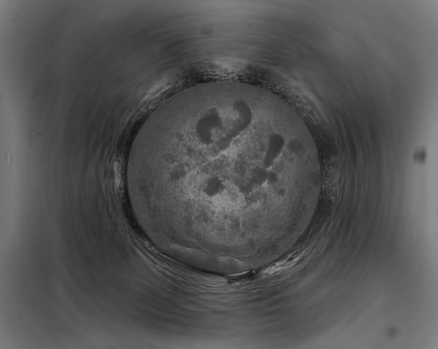 X0000098170131200804241204