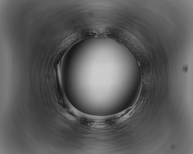 X0000098170132200804241204