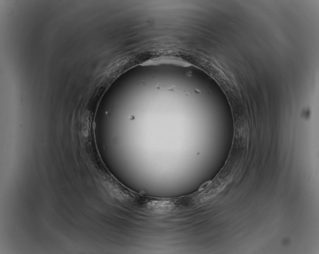 X0000098170133200804241204