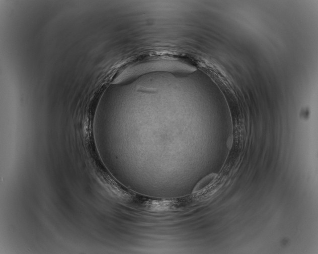 X0000098170134200804241204