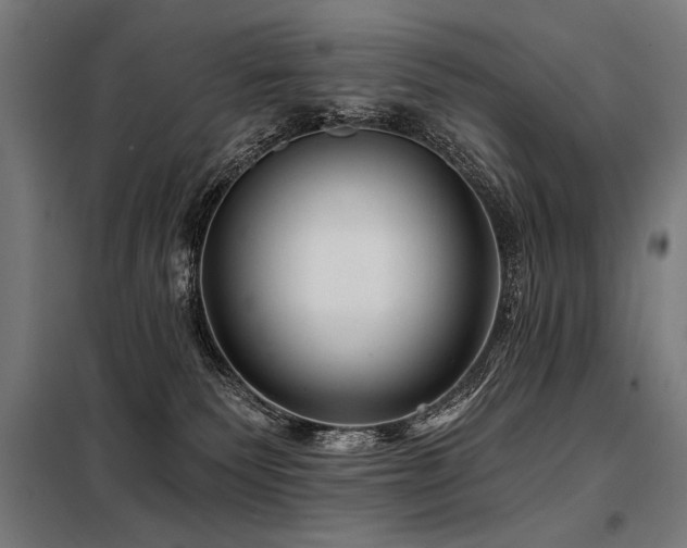 X0000098170135200804241204