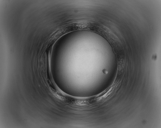 X0000098170136200804241204