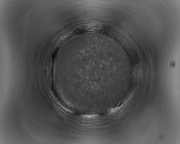 X0000098170137200804241204