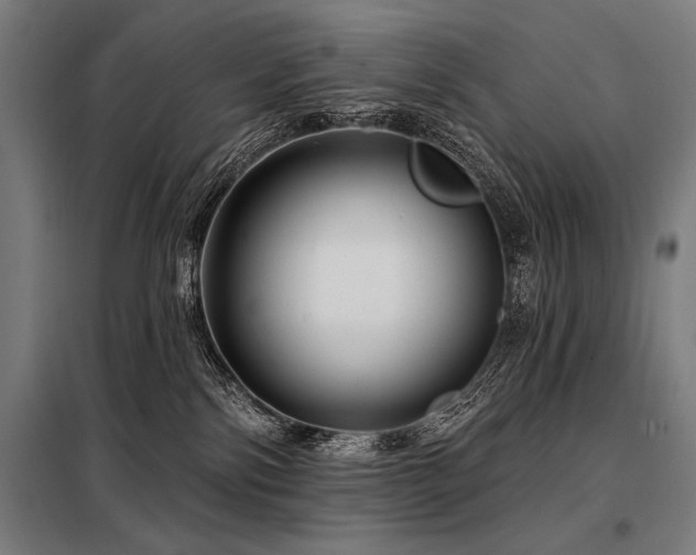 X0000098170138200804241204