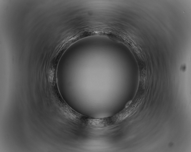 X0000098170139200804241204