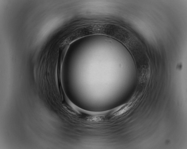 X0000098170140200804241204