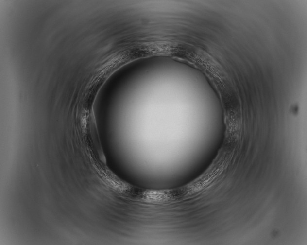 X0000098170141200804241204