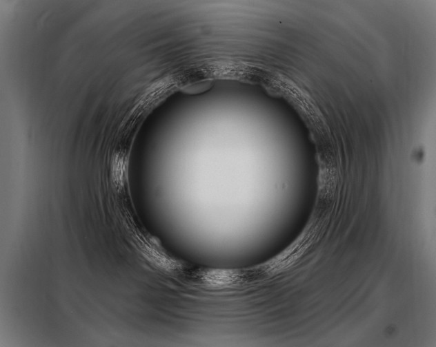 X0000098170142200804241204