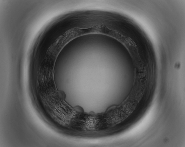 X0000098170143200804241204