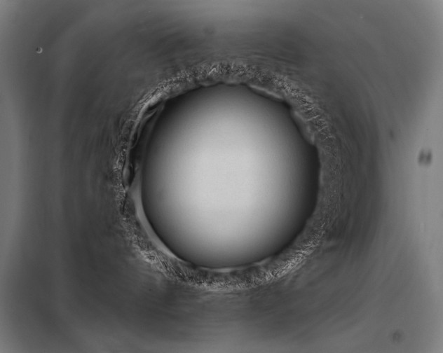 X0000098170144200804241204