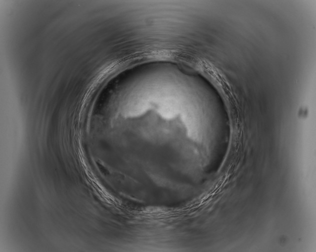 X0000098170145200804241203