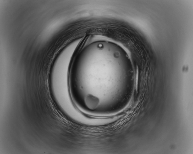 X0000098170146200804241203