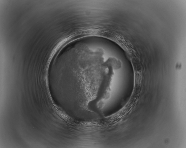 X0000098170147200804241203