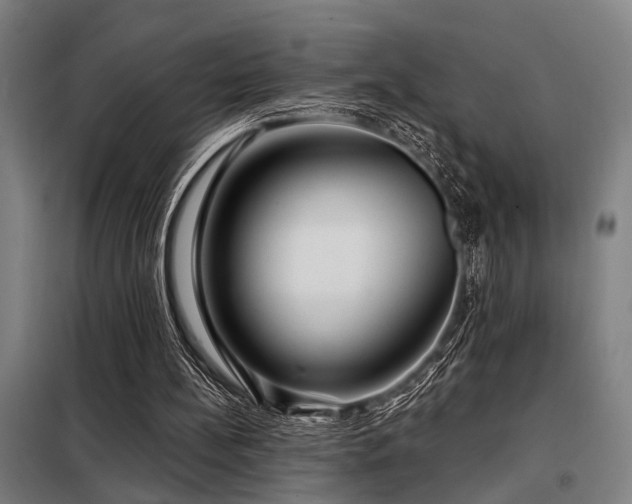 X0000098170148200804241203