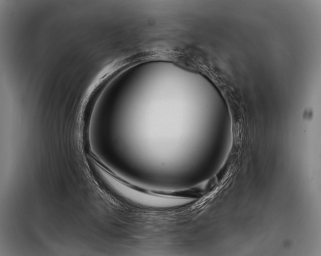 X0000098170150200804241204