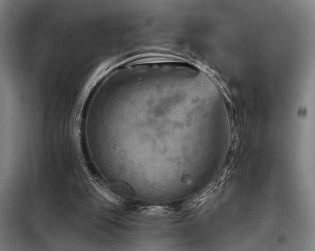 X0000098170151200804241204