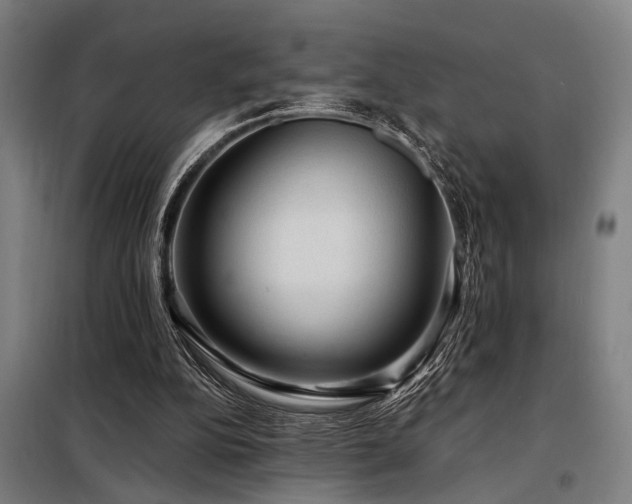 X0000098170152200804241204