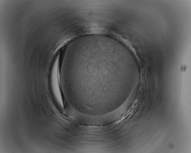 X0000098170154200804241204