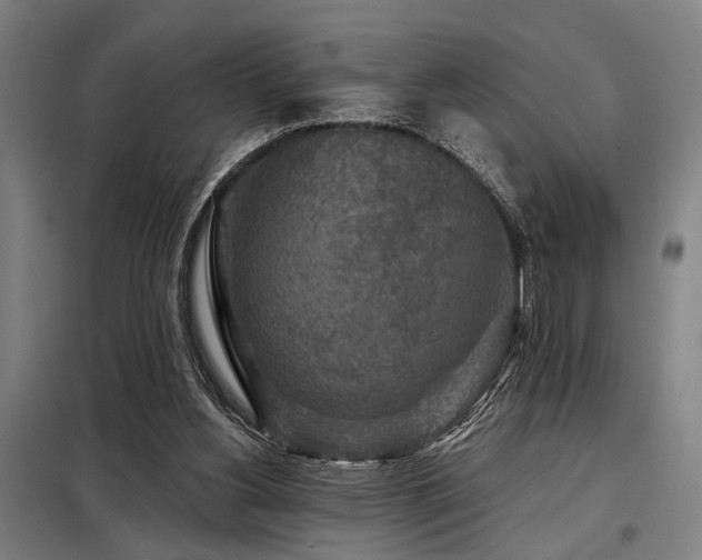 X0000098170156200804241204