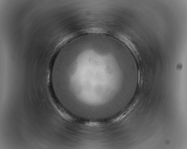 X0000098170157200804241204