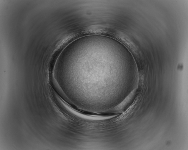 X0000098170158200804241204