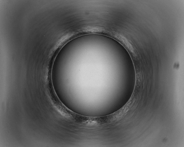 X0000098170159200804241204