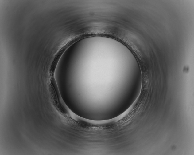 X0000098170160200804241204