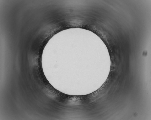 X0000098170162200804241204