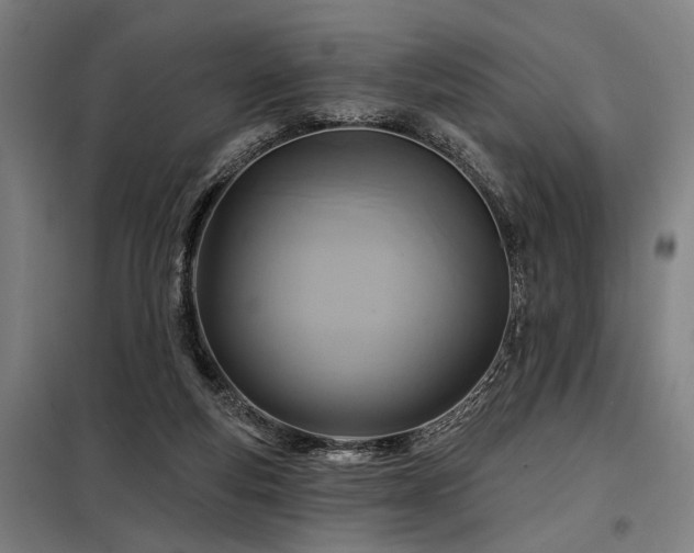 X0000098170163200804241204