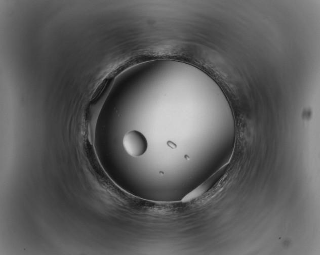 X0000098170164200804241204