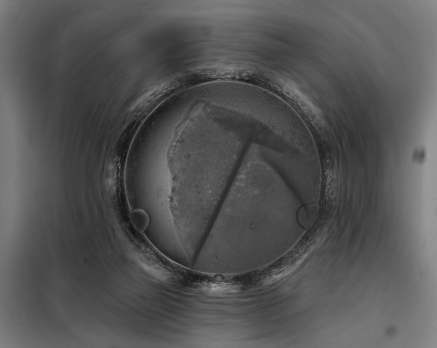 X0000098170165200804241204